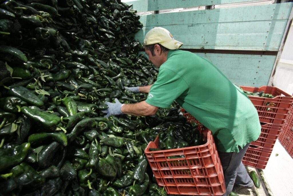 180730 EXPORTA CHILE-4