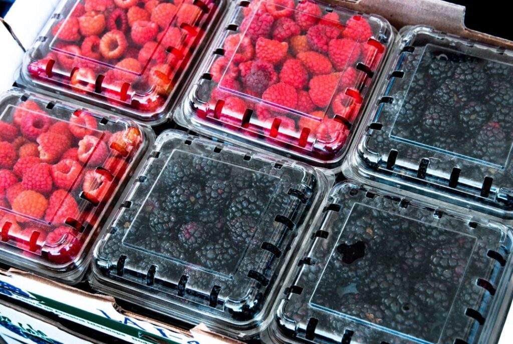 Exportación frambuesa