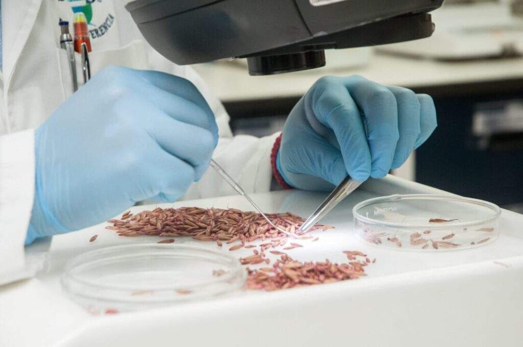 Desarrollarán México y Países Bajos técnicas agroalimentarias