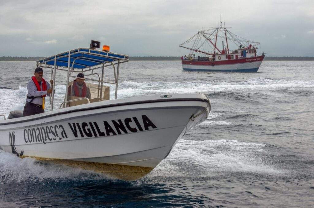 Capacidad para prevenir, desalentar y eliminar la pesca ilegal