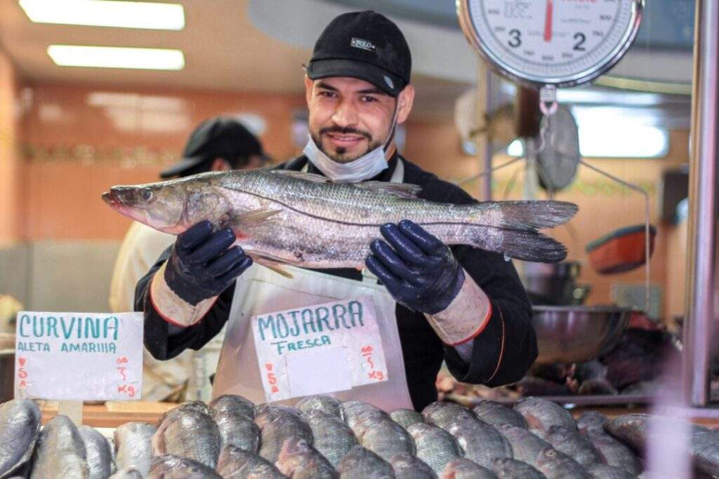Importante incorporar en la población el consumo de alimentos del mar