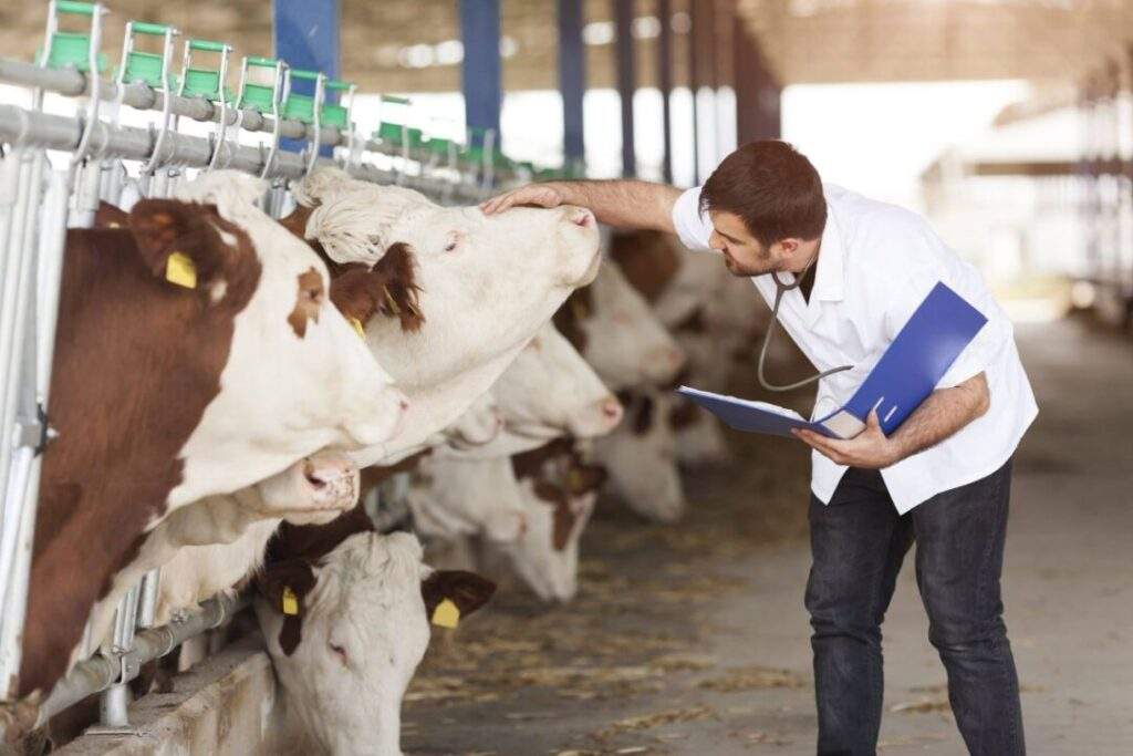 Niveles competitivos de producción y salud de las especies animales