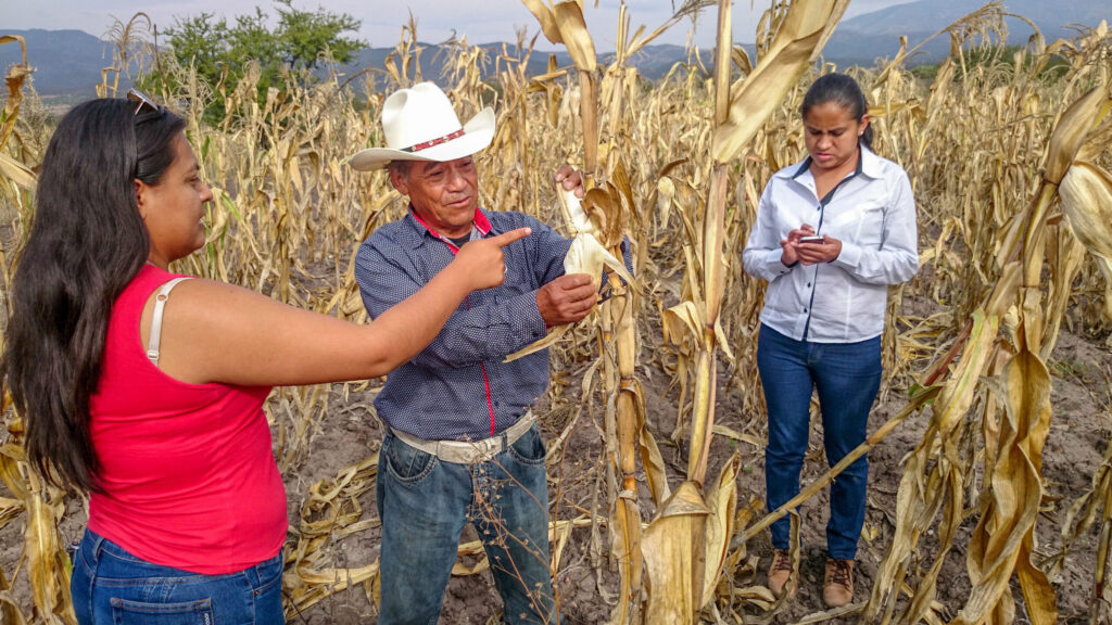 Publica DOF Reglas de Operación de Producción para el Bienestar 2022