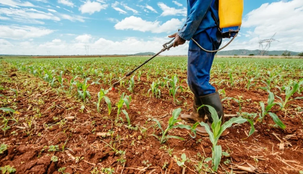 Aumenta por químicos costos de producción de cultivos: Sader