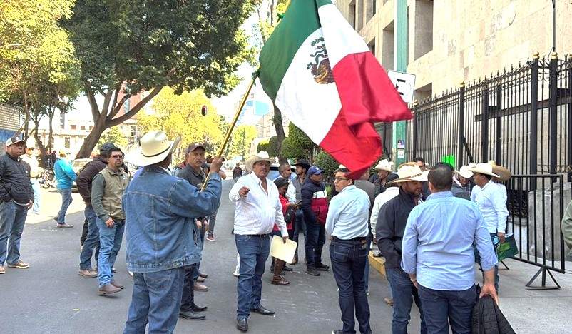 WhatsApp Image 2025-10-27 at 16.10.57