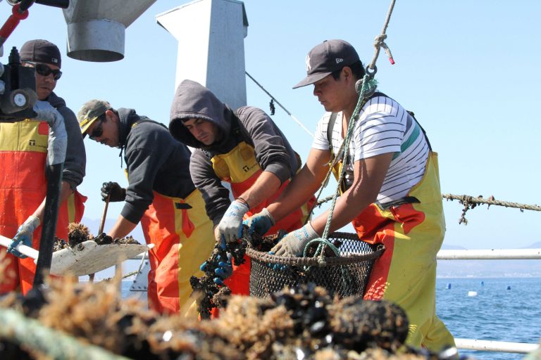 191116-SADER-CONAPESCA-PREMIO-PESCA-Y-ACUACULTURA-SUSTENTABLES-2019-1-1-768x512