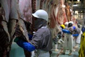 191231 SADER CRECE ESTE AÑO 9.5% PRODUCCIÓN CÁRNICOS TIF191229 SADER CRECE PRODUCCIÓN CÁRNICOS TIF-5