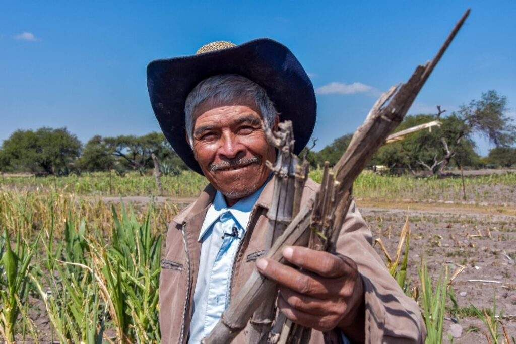 rastrojo
