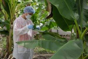 200102 SADER COLPOS INSECTICIDA ECOLÓGICO-1