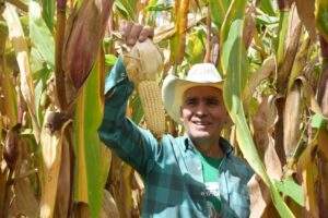 200104 SADER MASAGRO AGRICULTURA MOTOR DE DESARROLLO NACIONAL-8