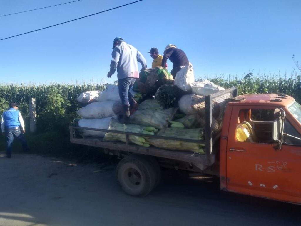 multimedia.normal.b41c75aa3351c068.576861747341707020496d61676520323031392d30382d30342061742031302e5f6e6f726d616c2e6a706567