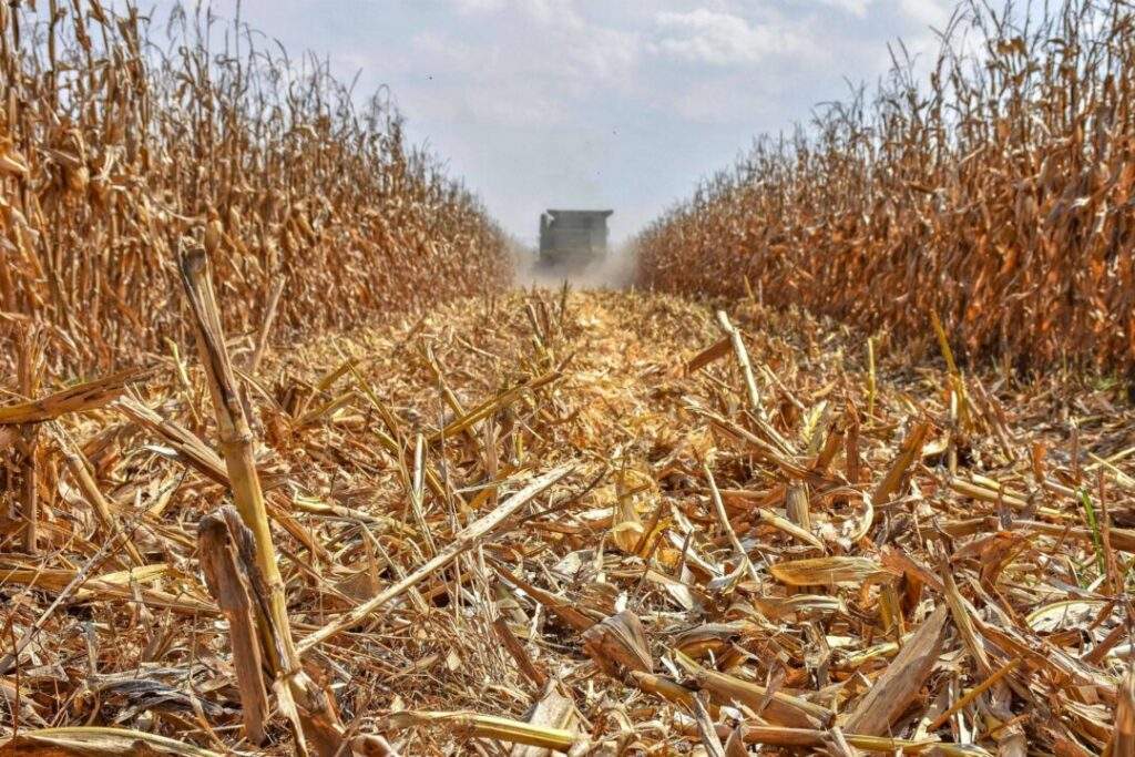 200202 AGRICULTURA CIMMYT MECANIZACIÓN INTELIGENTE-3