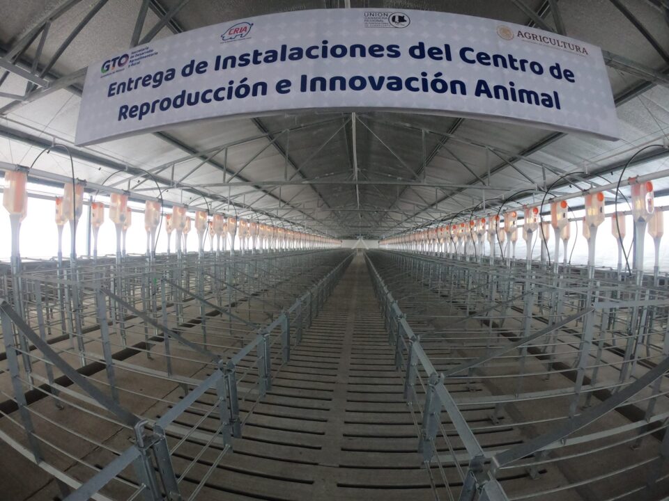 Entrega Agricultura y gobierno de Guanajuato a porcicultores el CRIA