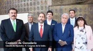 WhatsApp-Image-2020-02-20-at-21.24.48