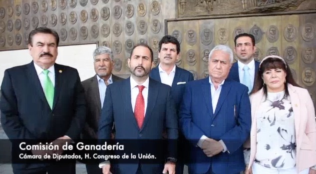 WhatsApp-Image-2020-02-20-at-21.24.48