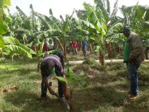 documento_2_20191031180842.551