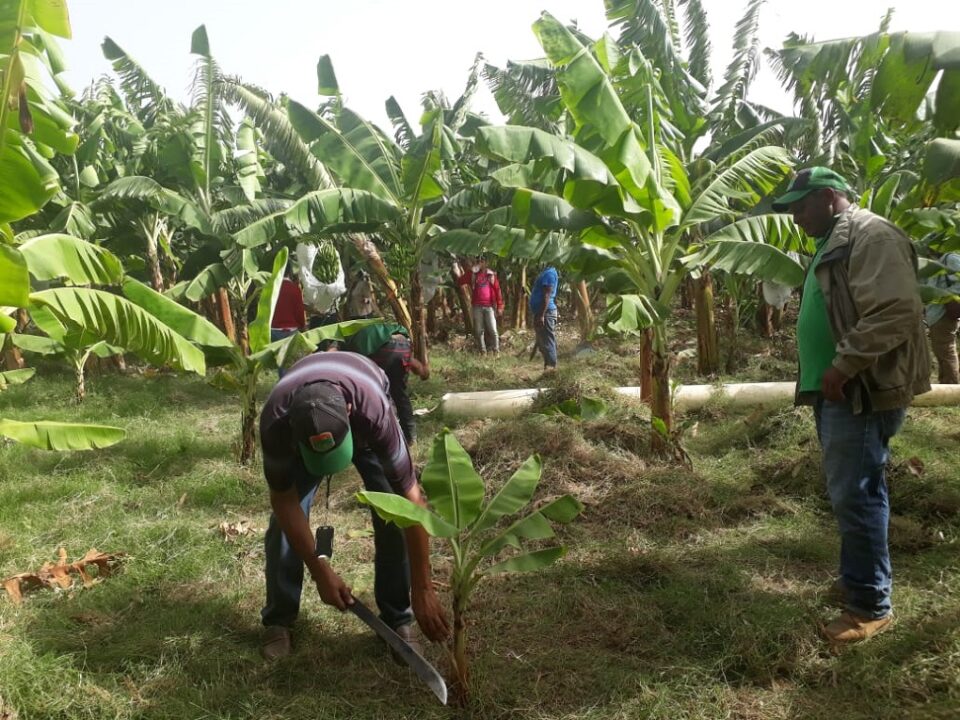 documento_2_20191031180842.551