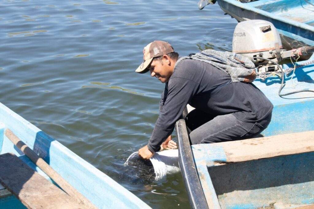 200326 Lineamientos de operación del Programa de Fomento a la Agricultura, Ganadería, Pesca y Acuacultura-4
