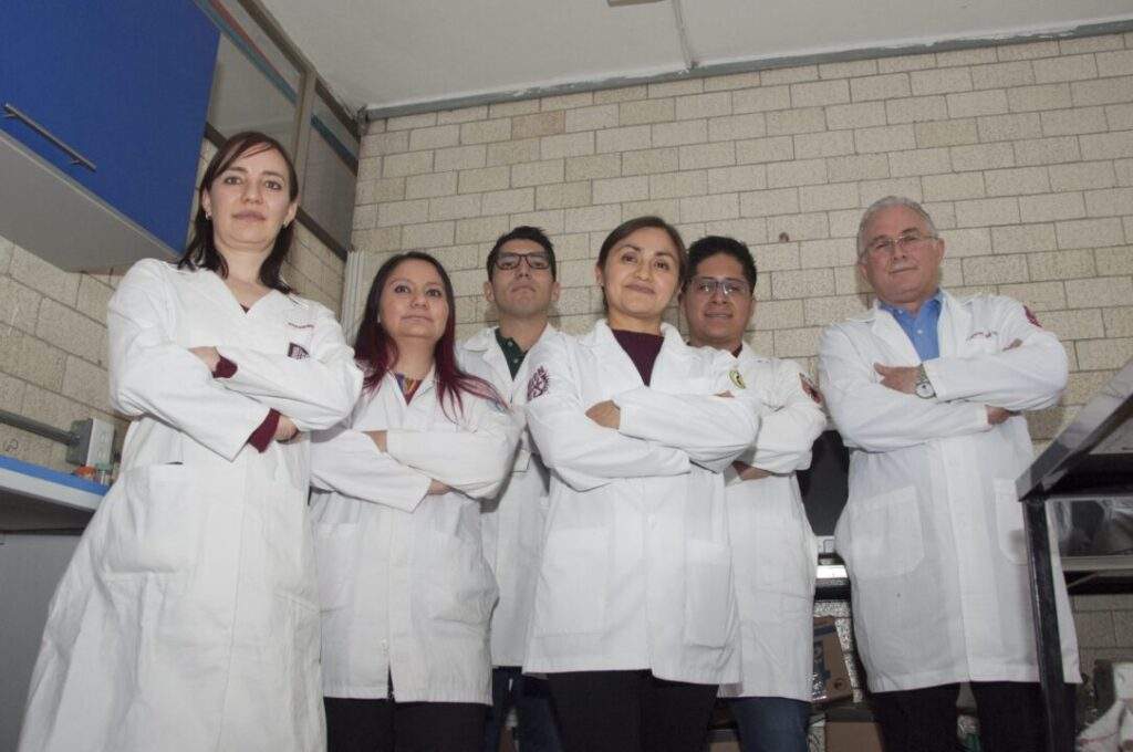 Equipo de trabajo
