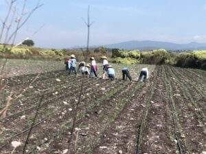 Foto 2 Trtabajadores del campo 16032020