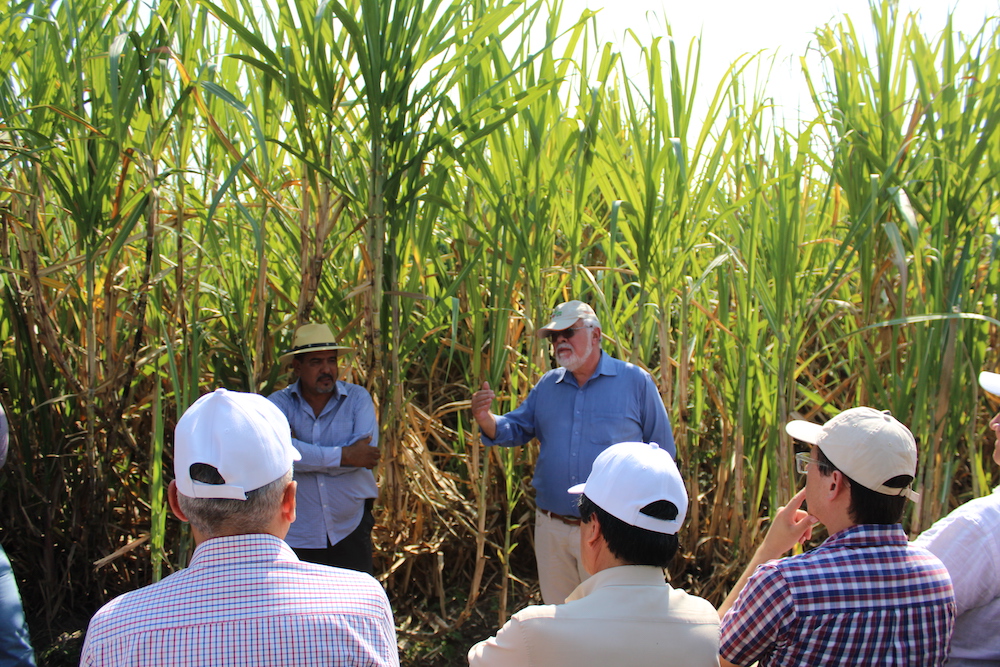biofertilizantes