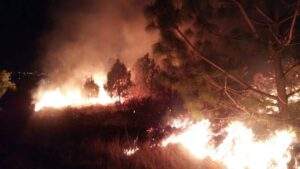INCENDIOS FORESTALES