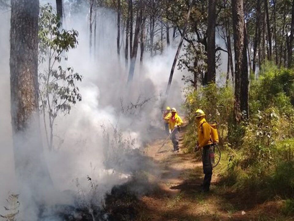 cincuenta-y-cinco-incendios-forestales-reportados-en-mexico-243301-3
