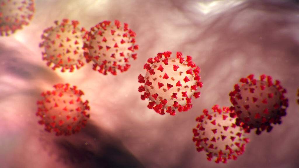 coronavirus-5