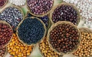 feria-del-maiz-el-frijol-y-el-amaranto1