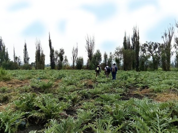 SUELOS DE CONSERVACIÓN