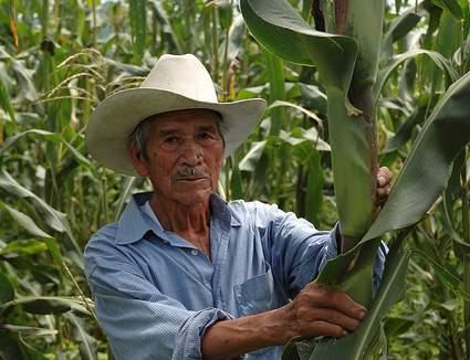 1-agricultor_maiz_mx