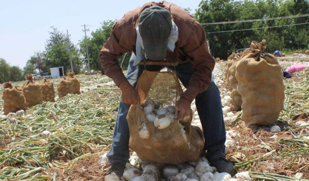 11-COAHUILA-REFORMA-AL-CAMPO