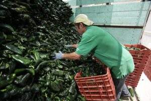 180730 EXPORTA CHILE-4