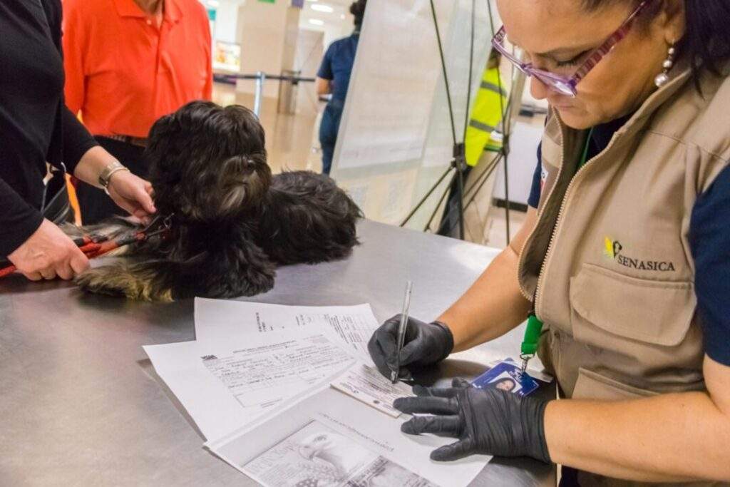 200412 AGRICULTURA SENASICA PREVENIR Y DETECTAR CONTAGIO DE COVID-19 EN ANIMALES-6