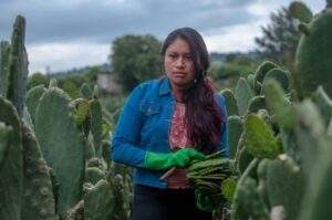 200413 AGRICULTURA CONAZA PROYECTOS PRODUCTIVOS-4