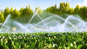 Sistemas-de-riego-agrícola-1