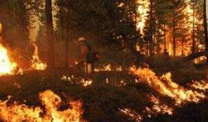 Activos 54 incendios forestales en 18 estados del país: CONAFOR