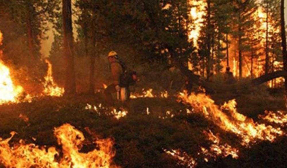 Activos 54 incendios forestales en 18 estados del país: CONAFOR