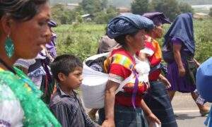 indigenas