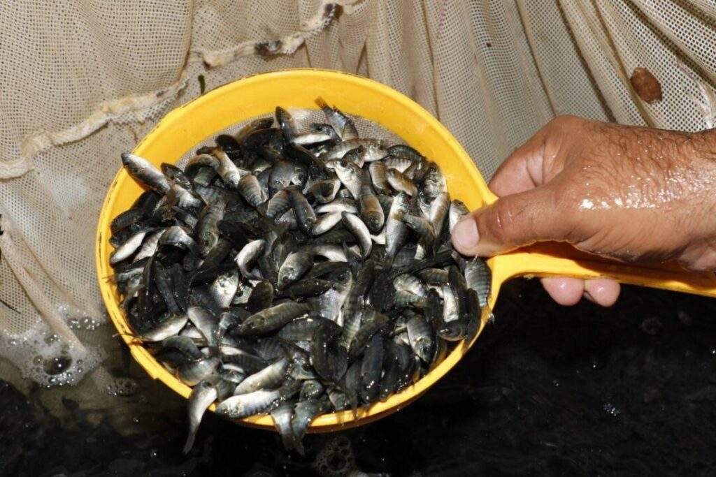 200522 Arranca Agricultura mejoramiento de embalses en seis entidades del país-4