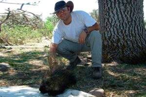 Necesario monitorear si humanos transmiten SARS-COV-2 a animales