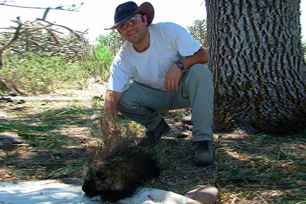 Necesario monitorear si humanos transmiten SARS-COV-2 a animales