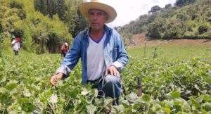 agricultura familiar