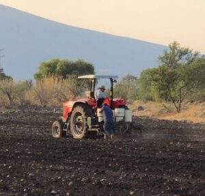 Estados Unidos sigue siendo el principal proveedor de esos alimentos