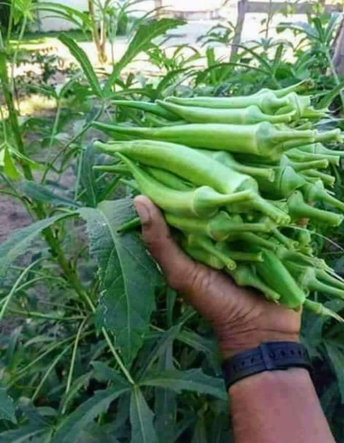 FB_IMG_1548578812940