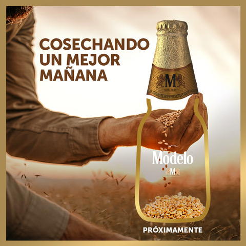 Modelo_mejor mañana