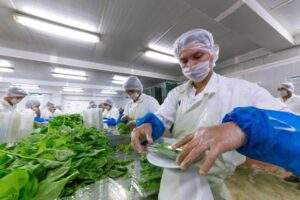 180615 SENASICA ALIANZA INOCUIDAD-3