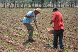 200608 AGRICULTURA FERTILIZANTES 03