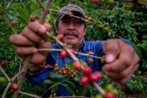 200625 AGRICULTURA PUBLICA PROGRAMA SECTORIAL DE AGRICULTURA Y DESARROLLO RURAL 20 -24-14