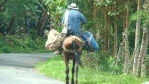 Campesino-pag-10